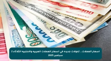 أسعار العملات.. تحولات جديدة في أسعار العملات العربية والأجنبية الثلاثاء 2 سبتمبر 2025